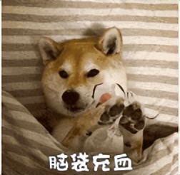 微信红包历史记录在哪里,关于微信红包的秘密