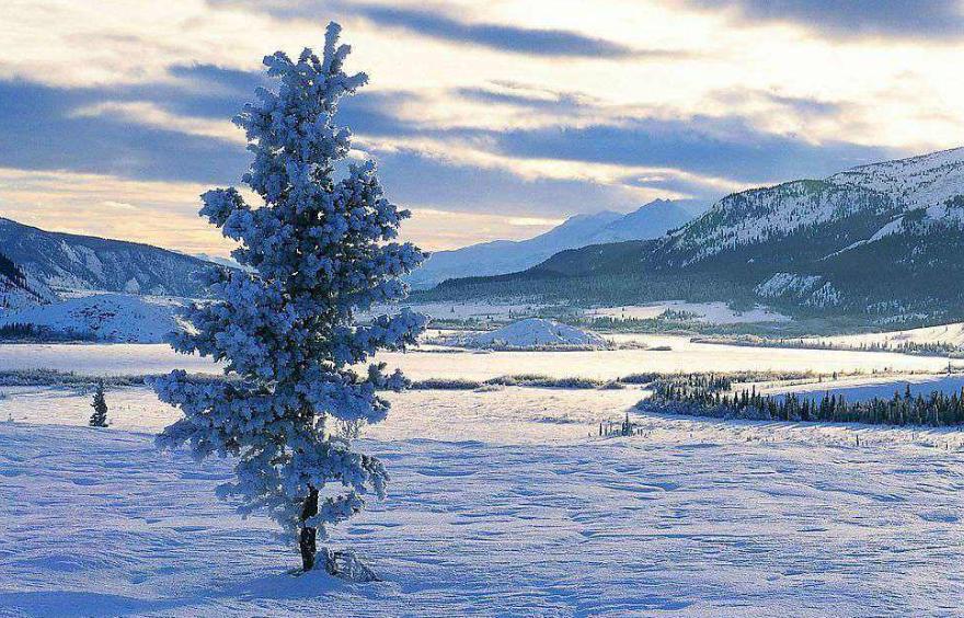 描写冬的诗句20首,关于冬景的诗句及诗意