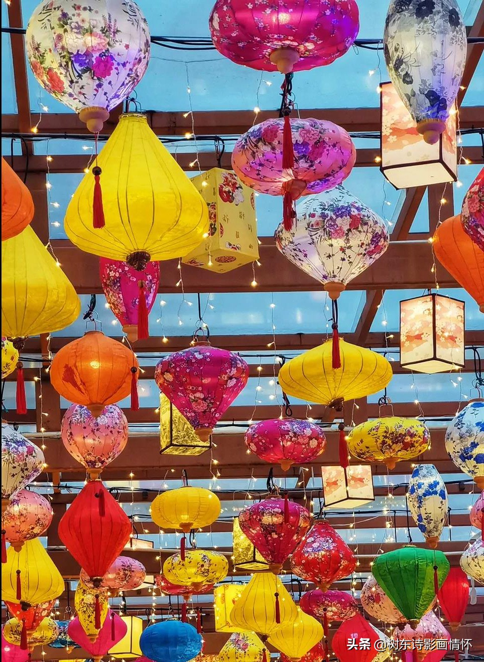 三亚红树林三亚特色,感受春天的气息和享受春天的美景