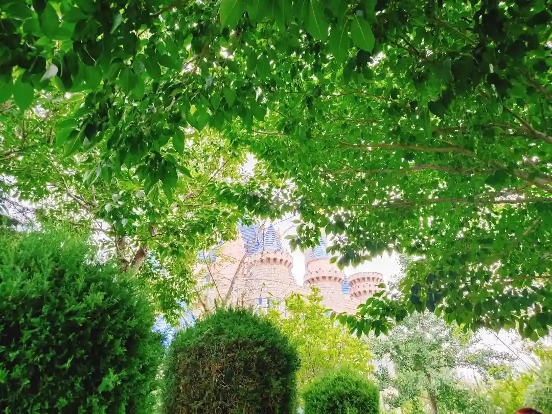 烟台让世界微醺,烟台开发区西夫拉姆酒场