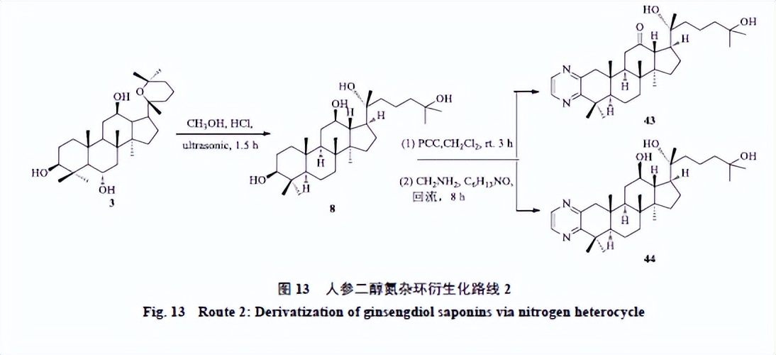 人参皂苷类化合物,人参皂苷结合物