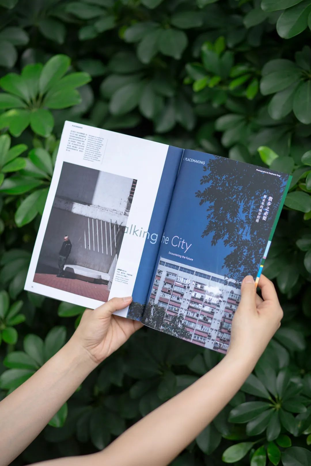 书籍设计构成元素及艺术特征,精美的书籍设计