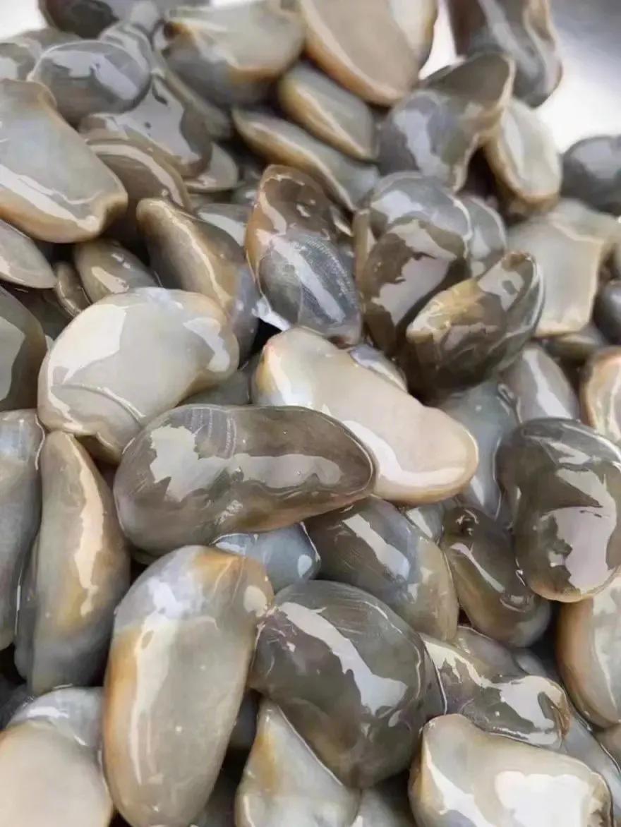 丹东东港旅游攻略自由行,丹东避暑游玩的地方推荐