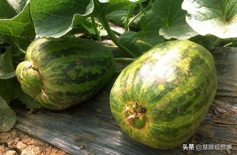 真正的山西孝义土话方言,山西孝义土话大全集