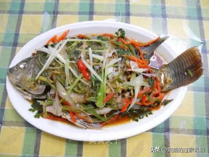 鲶鱼是世界上最脏的鱼,中国十大最脏鱼是什么鱼