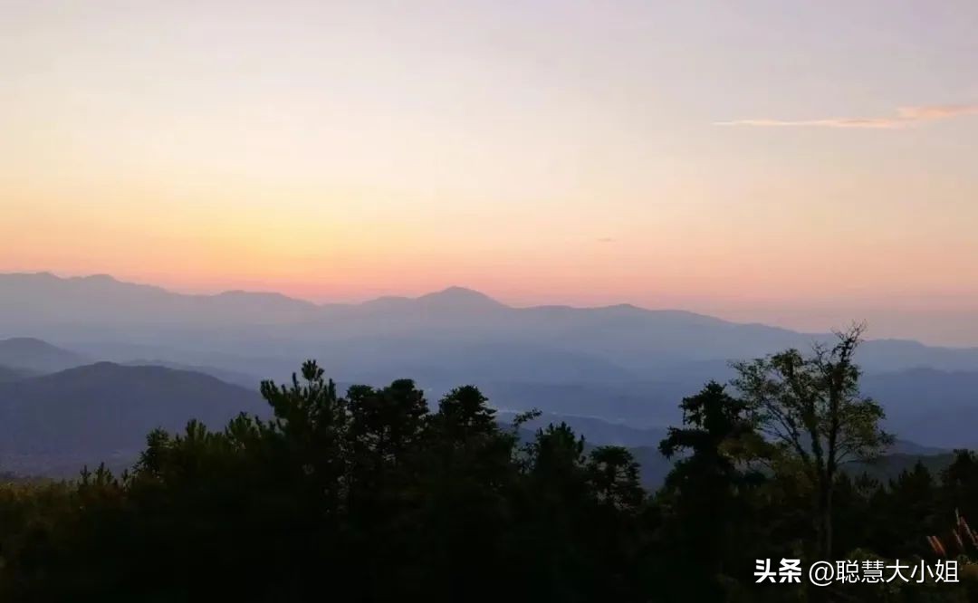 一场烟花登顶热搜！满城美食火成顶流，这座夏日小城太宝藏了！