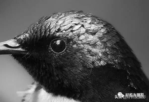 手机拍照片怎么拍出质感风景,拍的照片没有质感