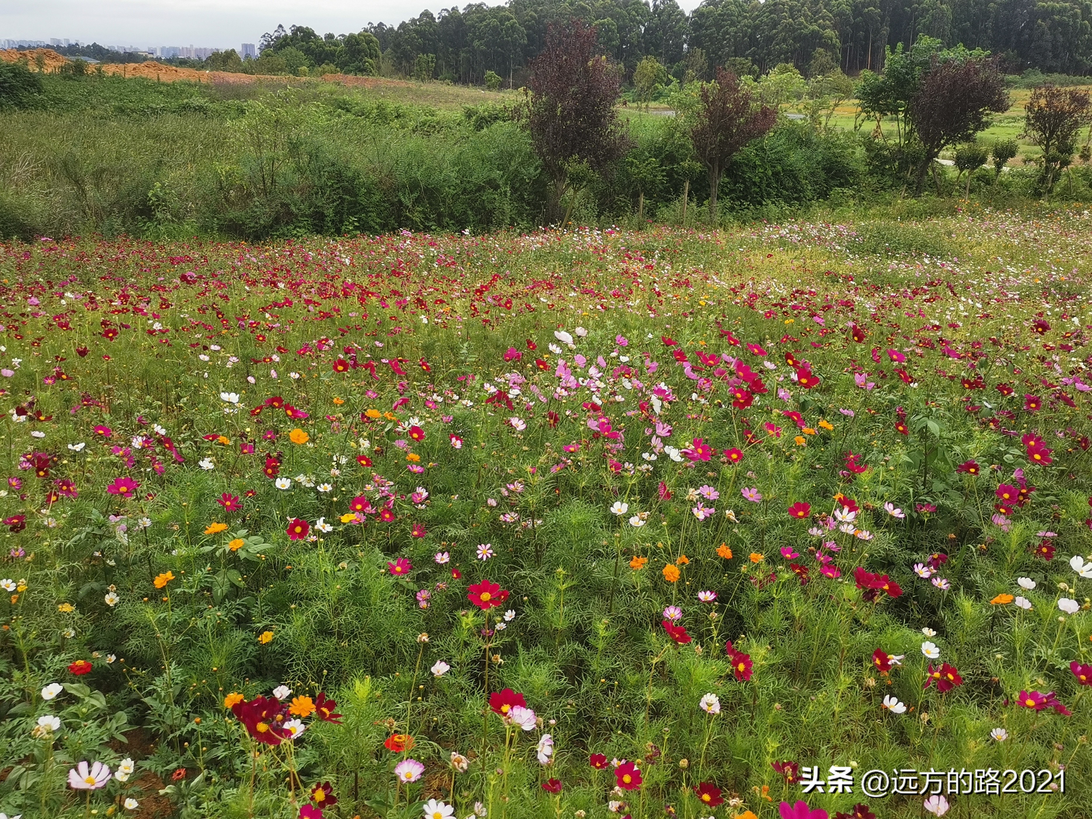 近距离看飞机起飞与降落,近距离看飞机降落