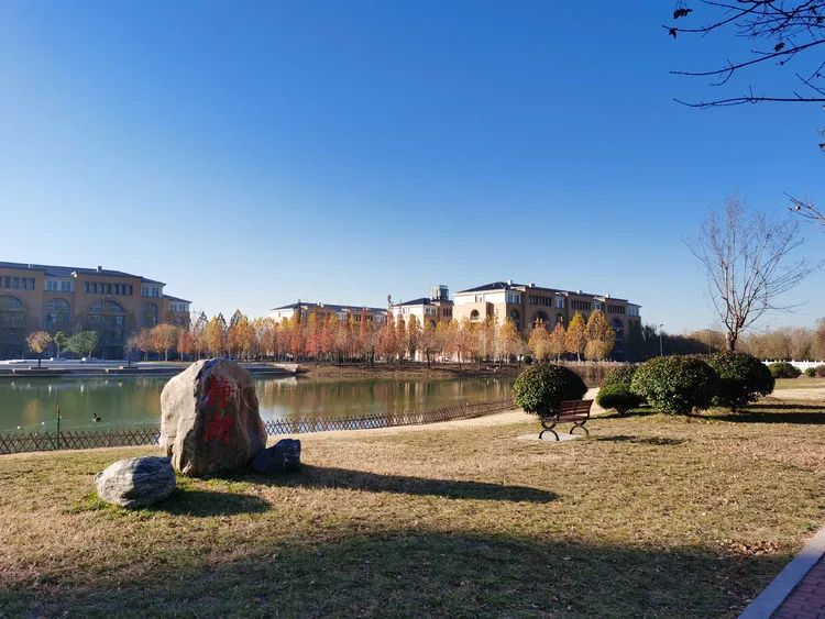 层林尽染的视频号,濮阳医专学历怎么样