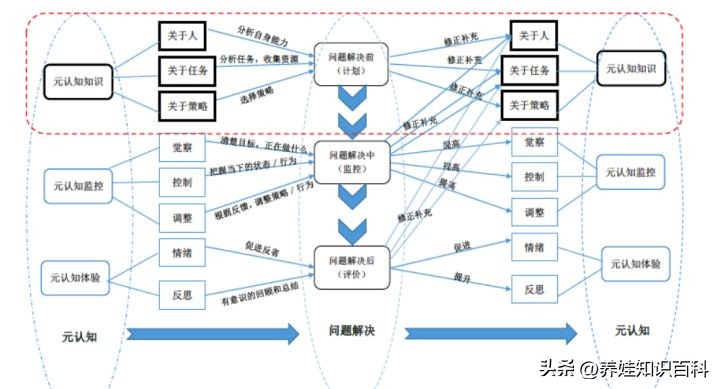 一年级孩子不爱阅读,一年级孩子不爱自主阅读