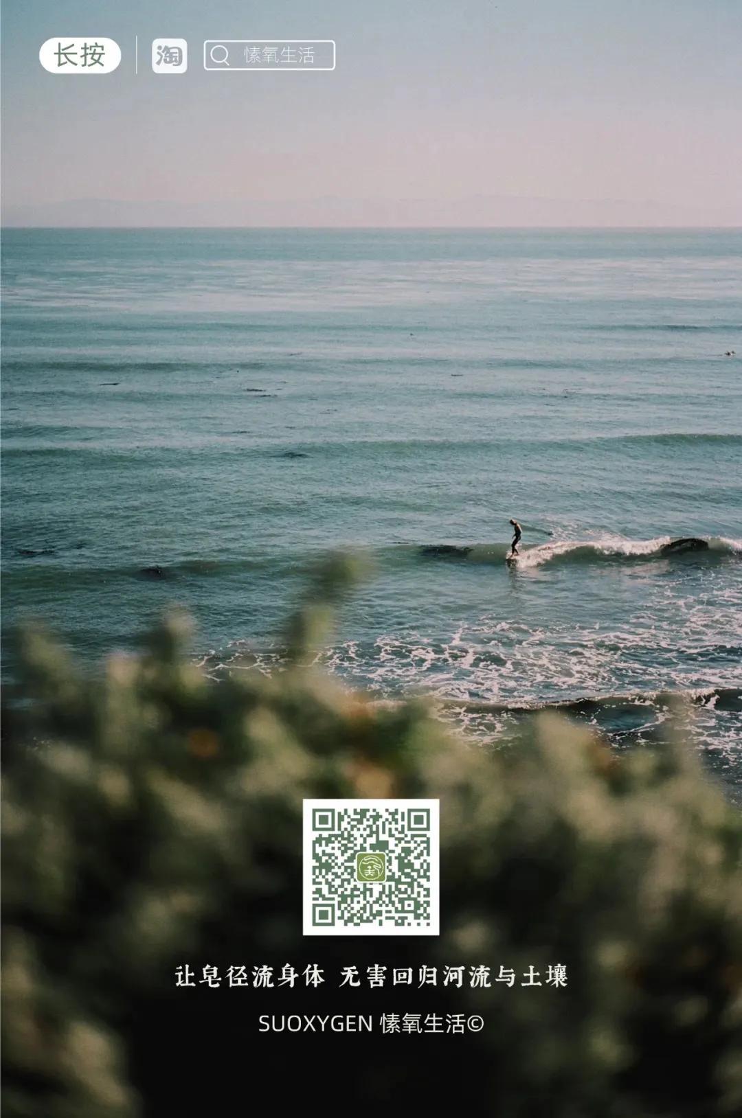 皂角米桃胶雪燕都是什么成分,雪燕桃胶皂角米组合测评