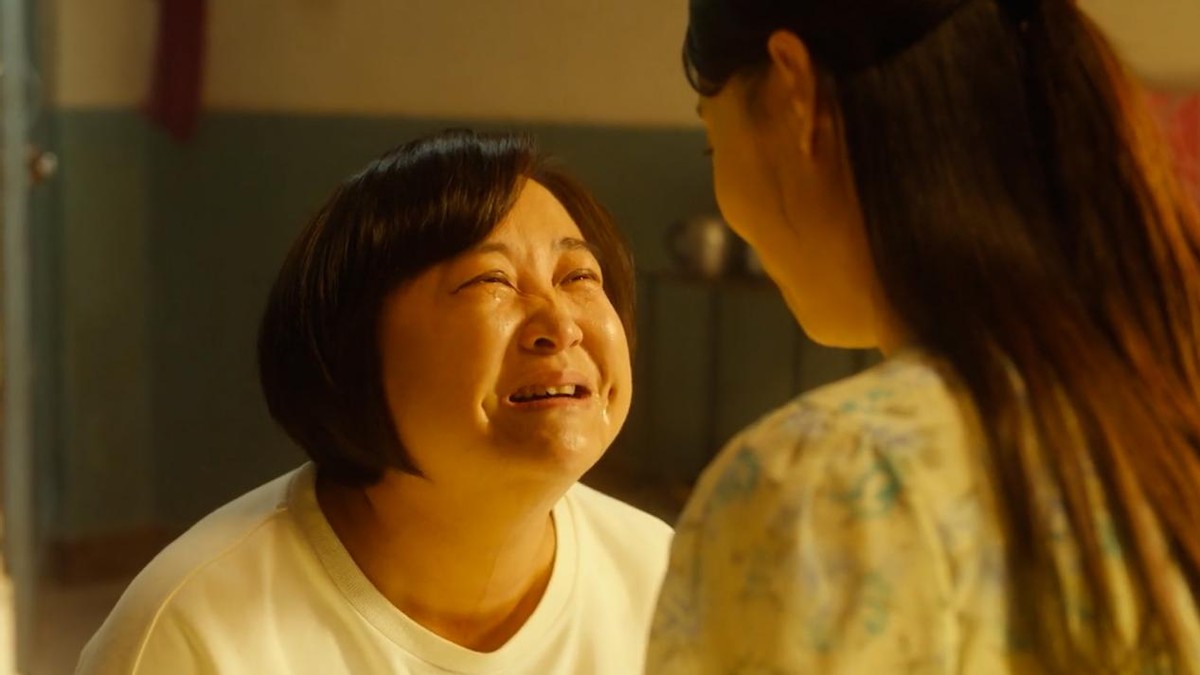 1995年票房最高的十部电影,最快破50亿票房电影