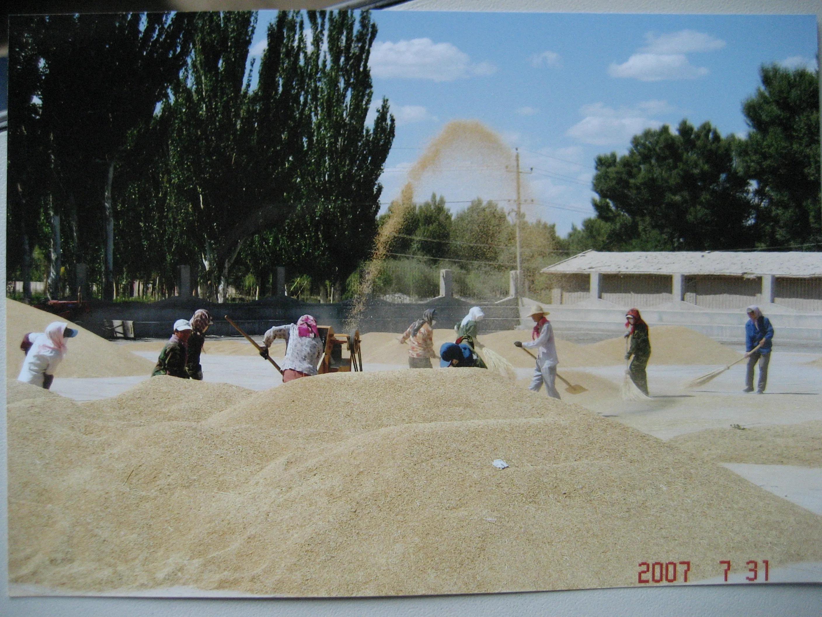 13年副营长,21营副营长