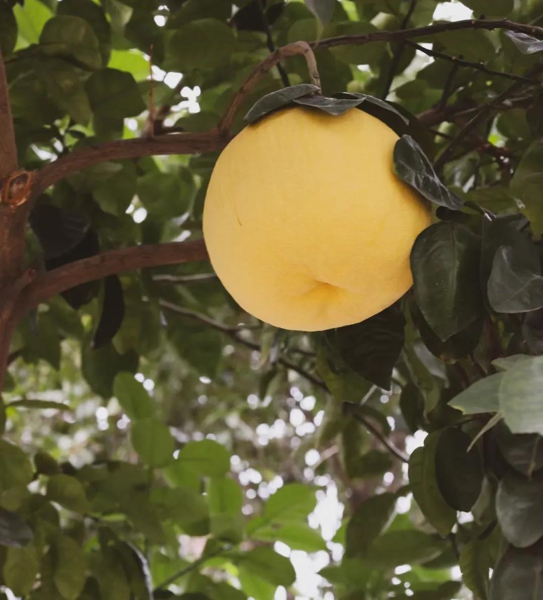 如何以身作则当好管理表率,亮剑教你如何做优秀管理者