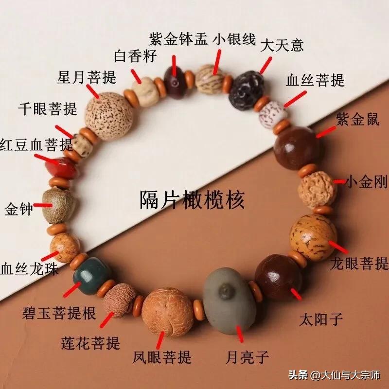 十八籽菩提手串,100种菩提品种