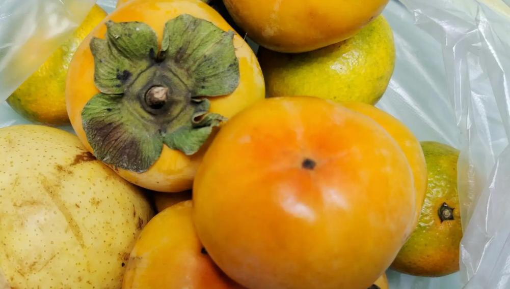 空腹吃柿子为什么会结石,空腹食用柿子当心结石作怪