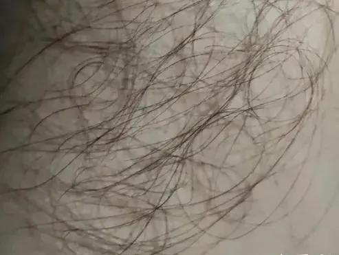 高缇雅洗发水是智商税吗,洗发水的好坏之分哪种洗发水好用