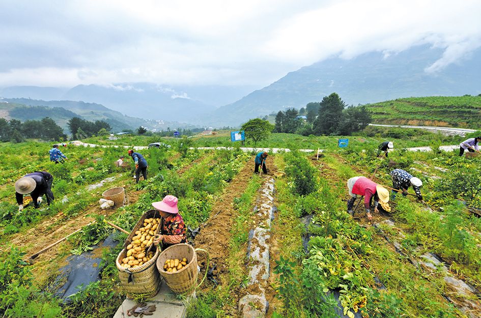 战胜困境的最好方法,怎样消除贫困促进可持续发展