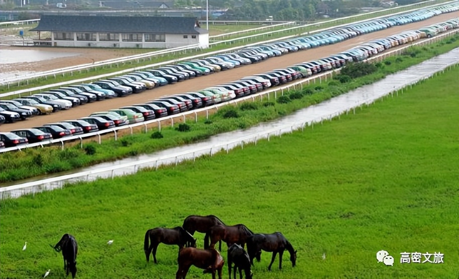 潍坊创建“东亚文化之都”|我们向已获得“东亚文化之都”的城市学什么？（十七）