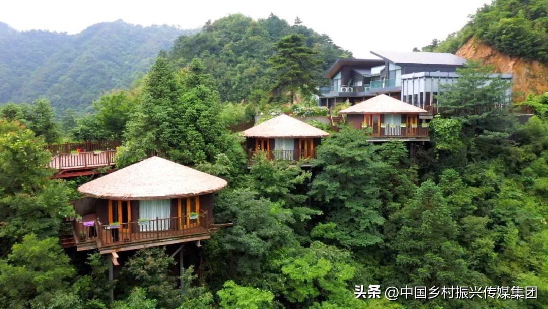 2023乡村振兴申报项目及补贴,振兴乡村国家有哪些资金扶持项目