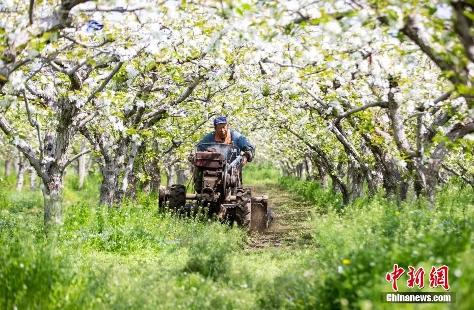 二十四节气从立春开始到大寒,二十四节气歌立春大雪