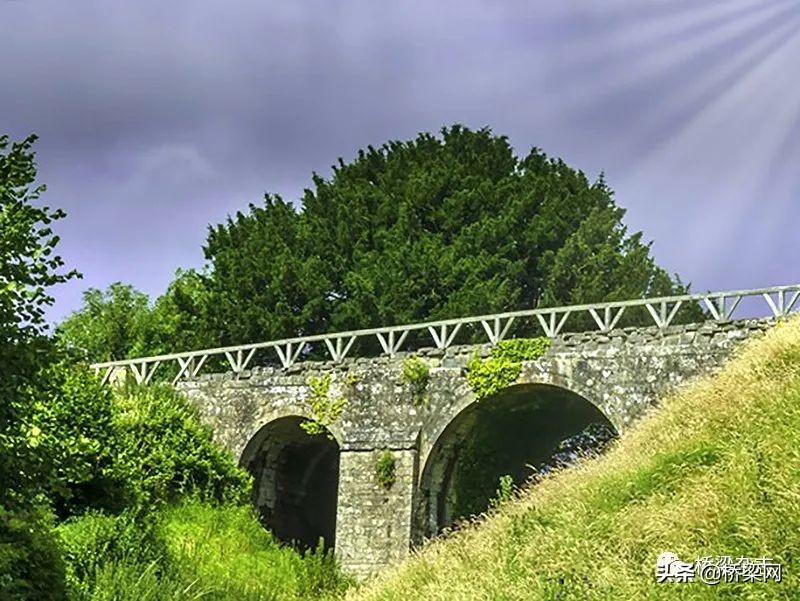 海外大桥中国,海外大桥最新消息