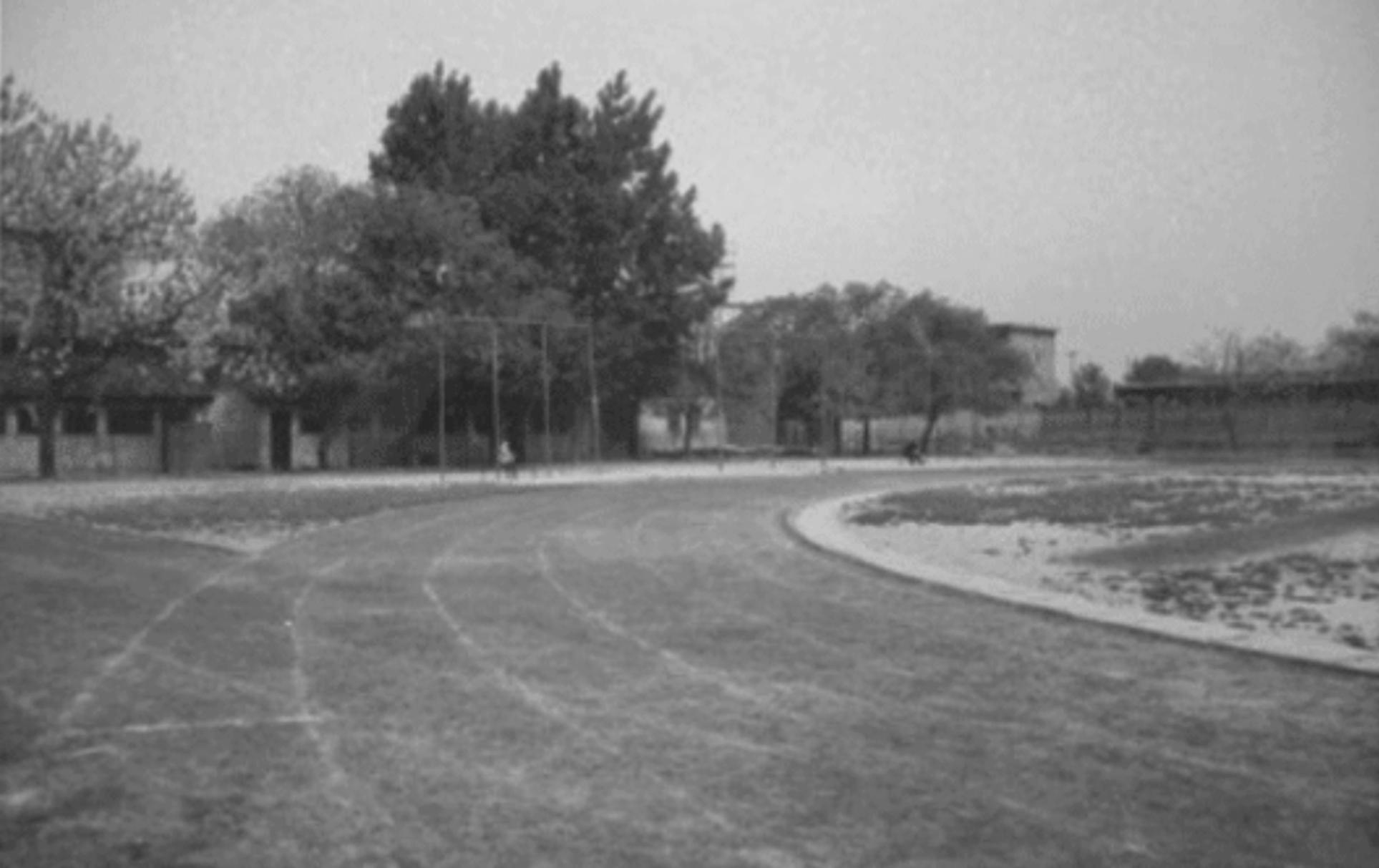 保定五中19:求进步说唱兼赛跑,学标兵思量很痛心