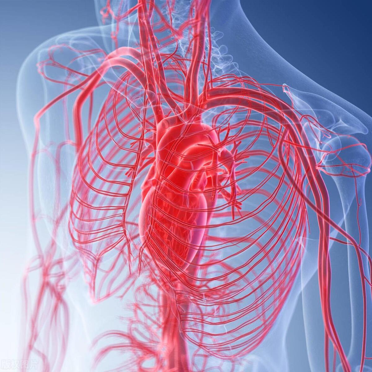 为什么女性会得雄激素不敏感症？主要由遗传因素引起，要及时治疗