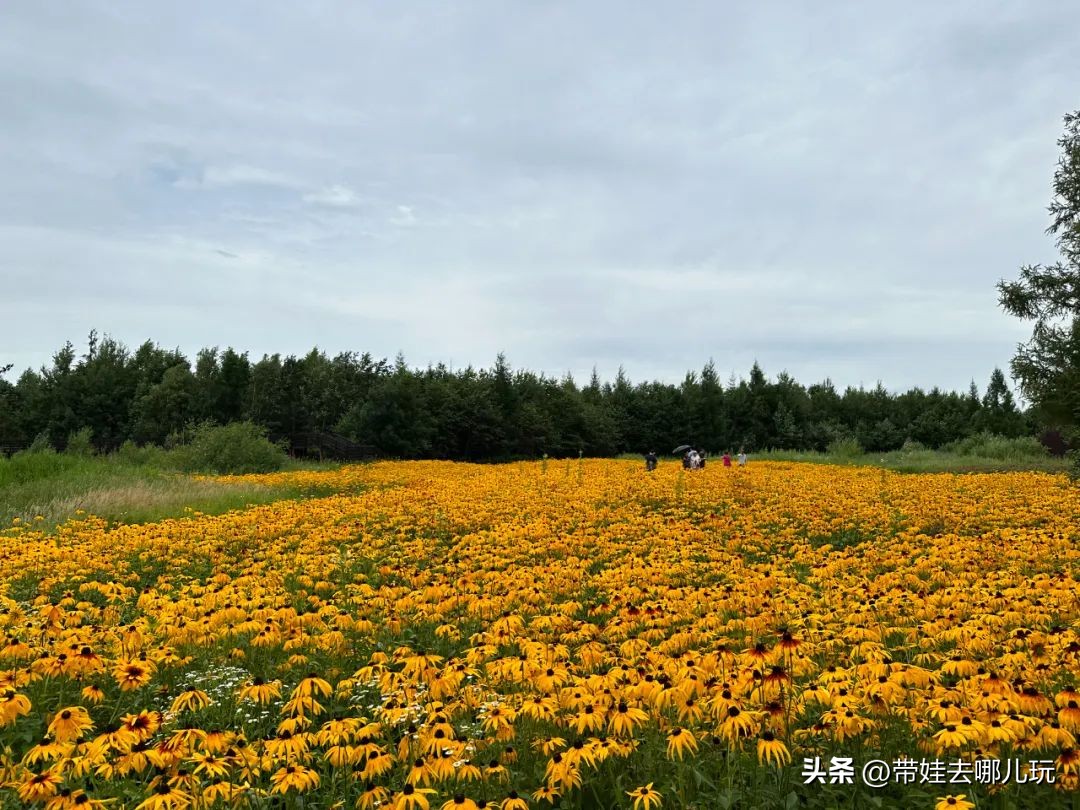 长白山二道白河旅游攻略7月游,自驾二道白河长白山旅游攻略