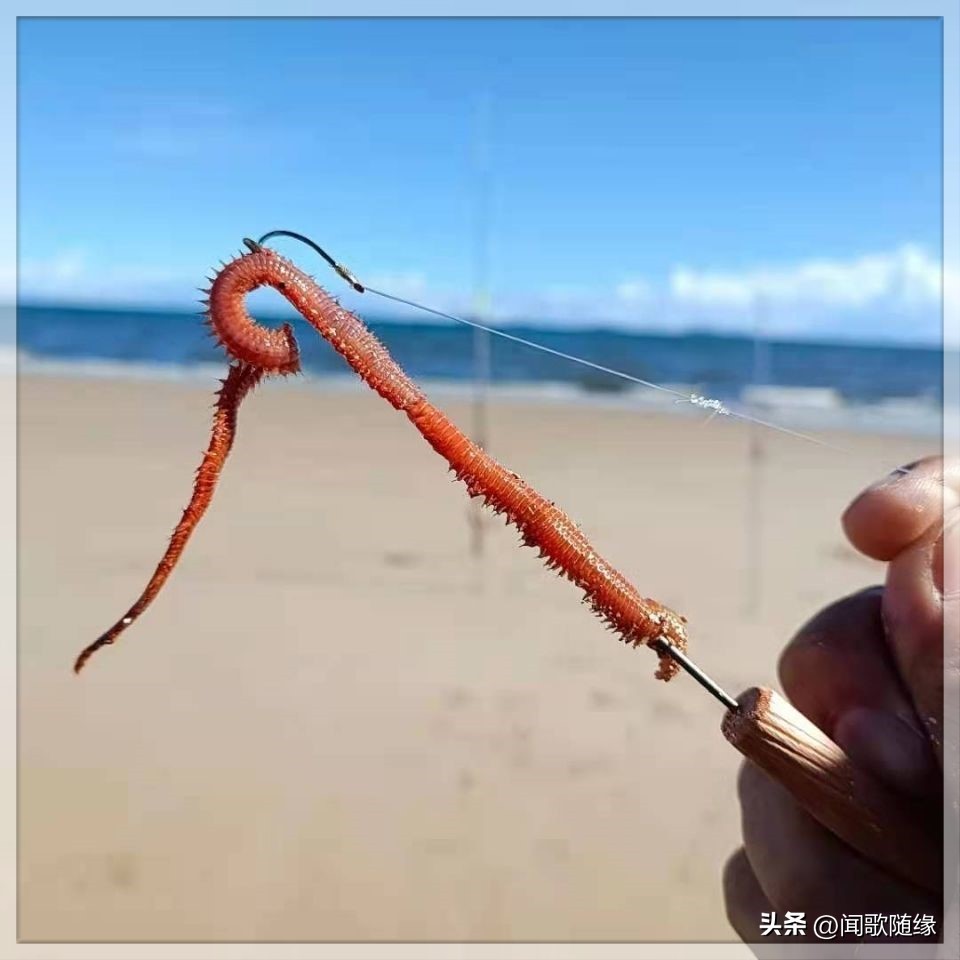 矶钓最简单的钓法,李大毛矶钓滑漂钓法视频