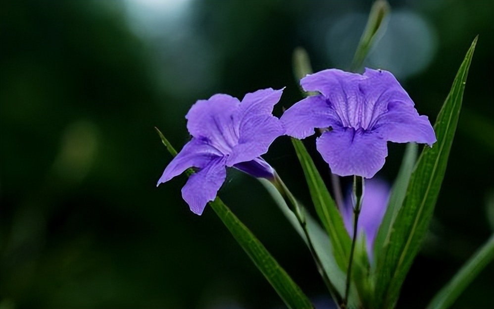 一个女人的品味看她的鞋子,一个女人过得好不好很容易看出来