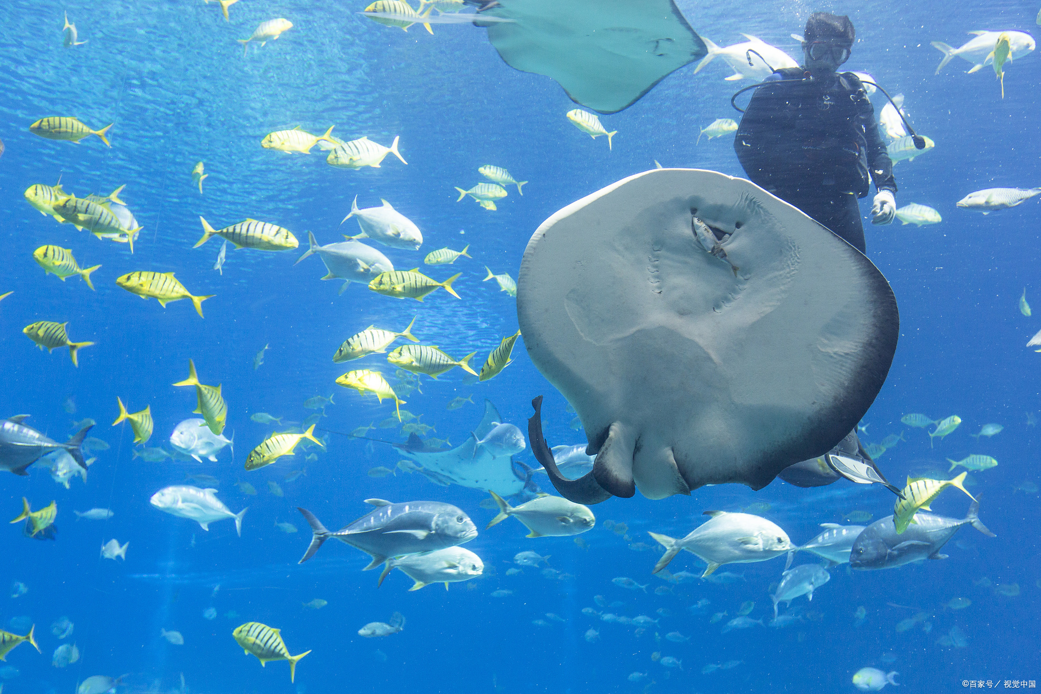 珠海旅游景点推荐有哪些,珠海旅游必去景点珠海有什么景区