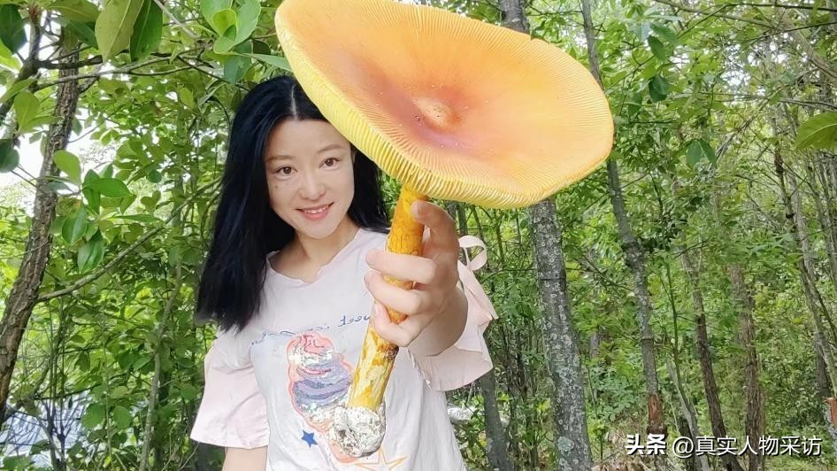 我80后，放弃上海的房和车，买200亩山林，和老公隐居山林，真爽