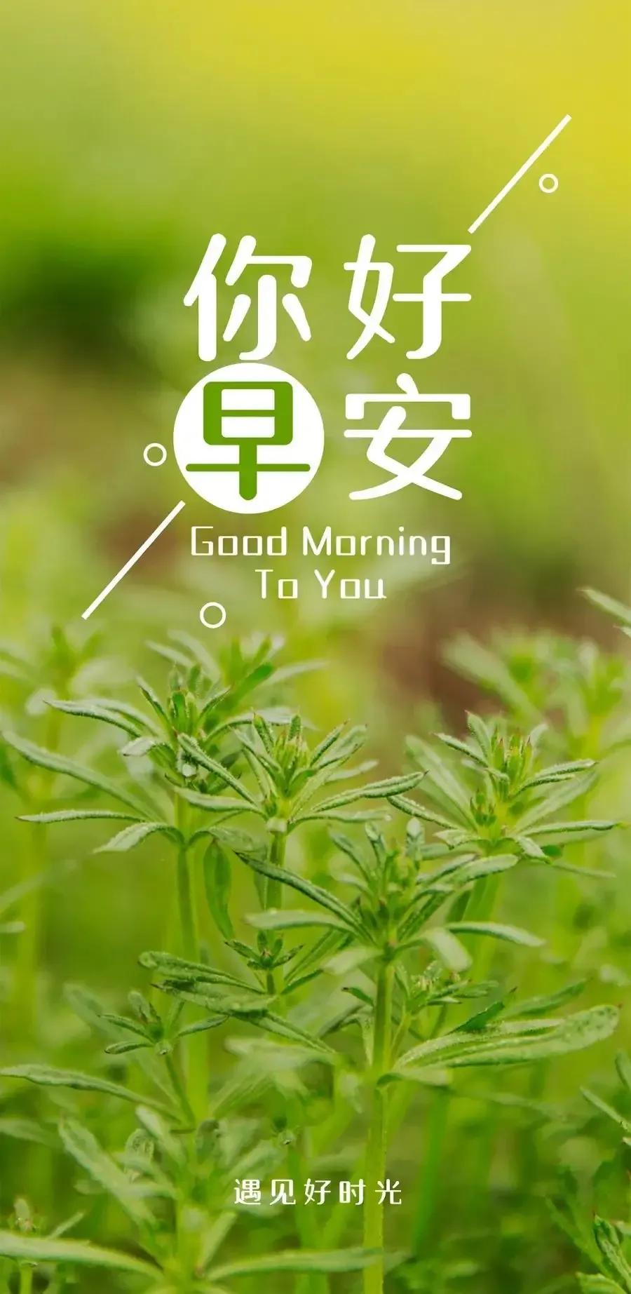 乙木命2023年癸卯年运势怎样,农历2023年癸卯年正月结婚吉日