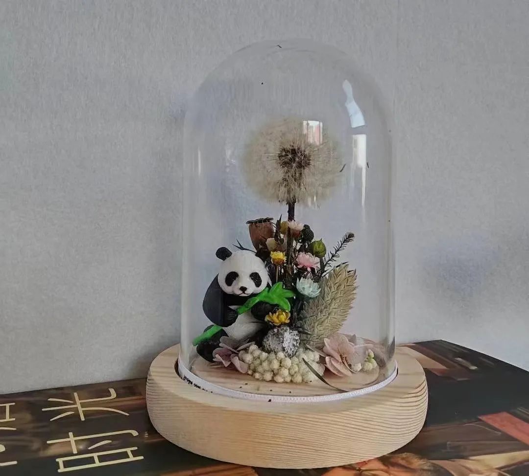 女生给一千个陌生人写信:被校园*力暴**的中考生、患尿毒症抑郁症的程序员、10年没怀上孩子的老师……