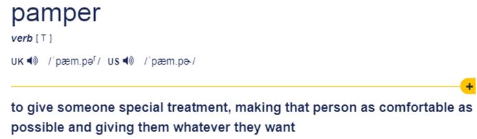 溺爱用英语怎么说,宠溺纵容溺爱英文