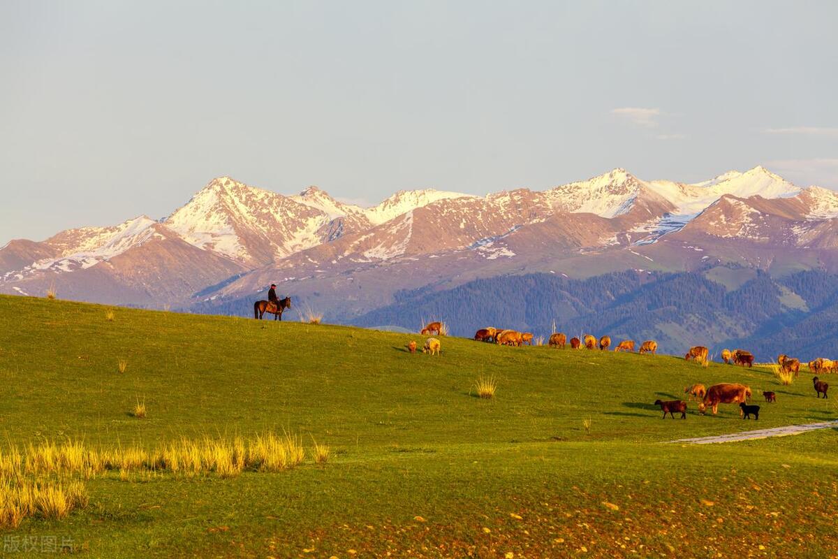 不管怎么样家庭永远是第一,不管怎样家庭永远要放在第一位