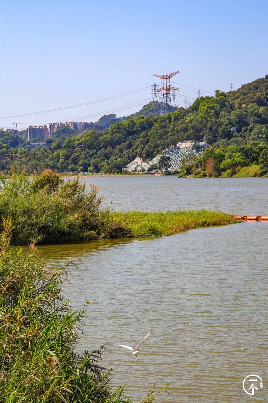 广州的士师傅一般住哪里,月薪8000的的士司机