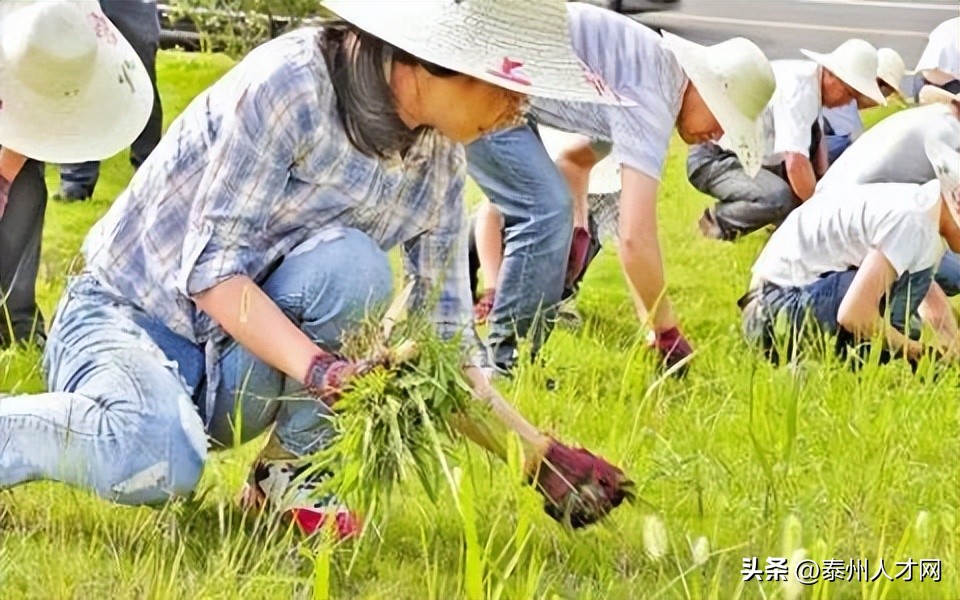 兴化方言说唱打麻将顺口溜,兴化方言日常用语300句
