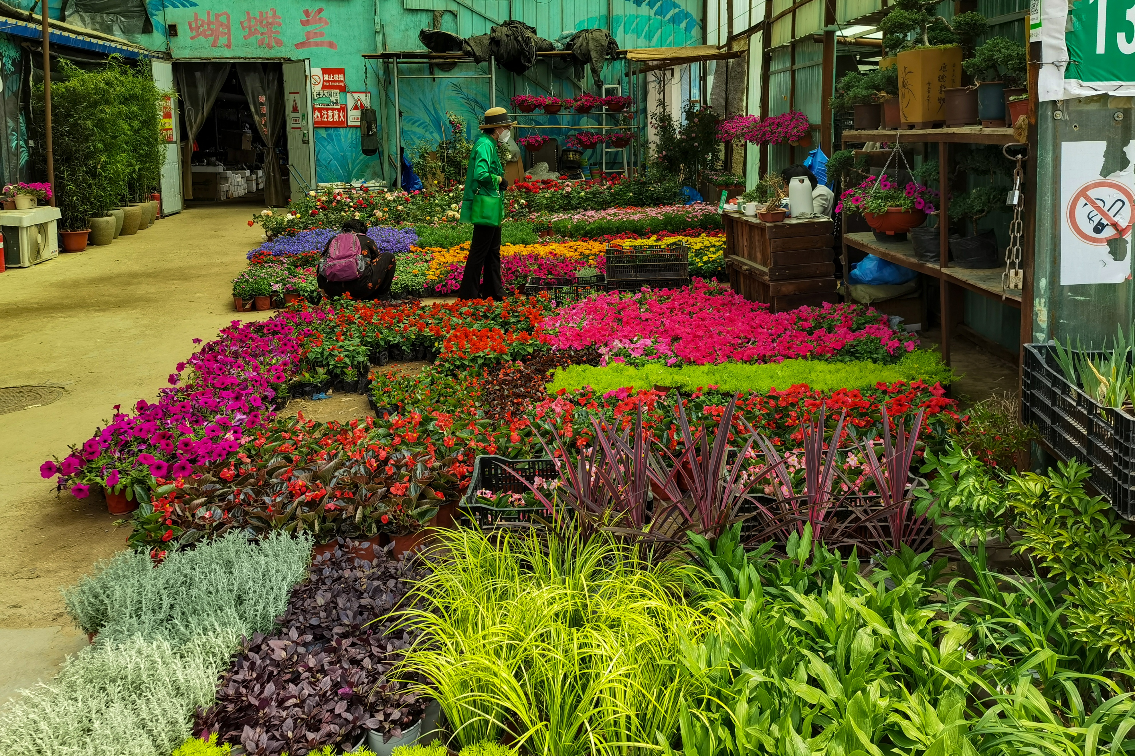 沈阳南井花卉市场,沈阳市南井花卉市场地址