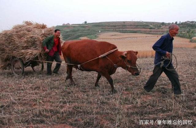 老式太平车农村老物件,太平车老物件多少钱