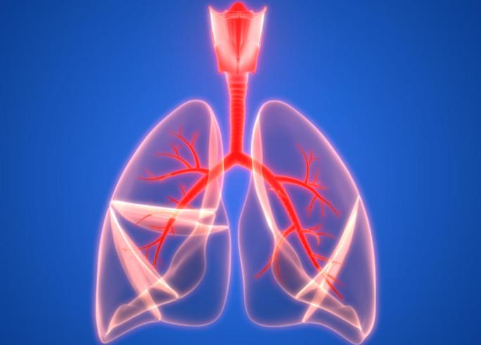 过敏性鼻炎哮喘综合征,过敏性鼻炎诱发哮喘的进程