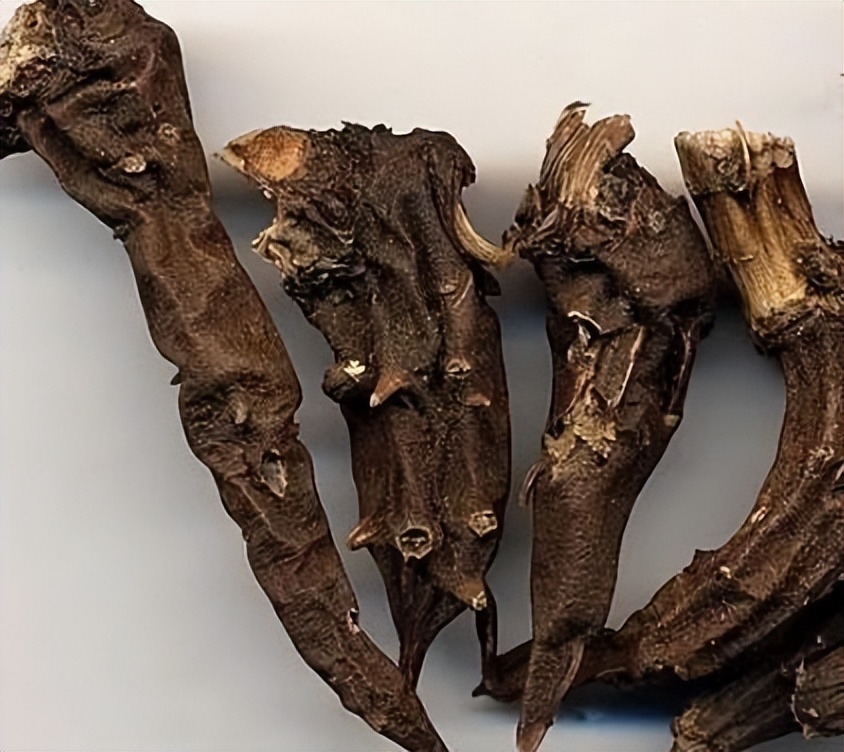 中药变毒物,中药变“毒药”