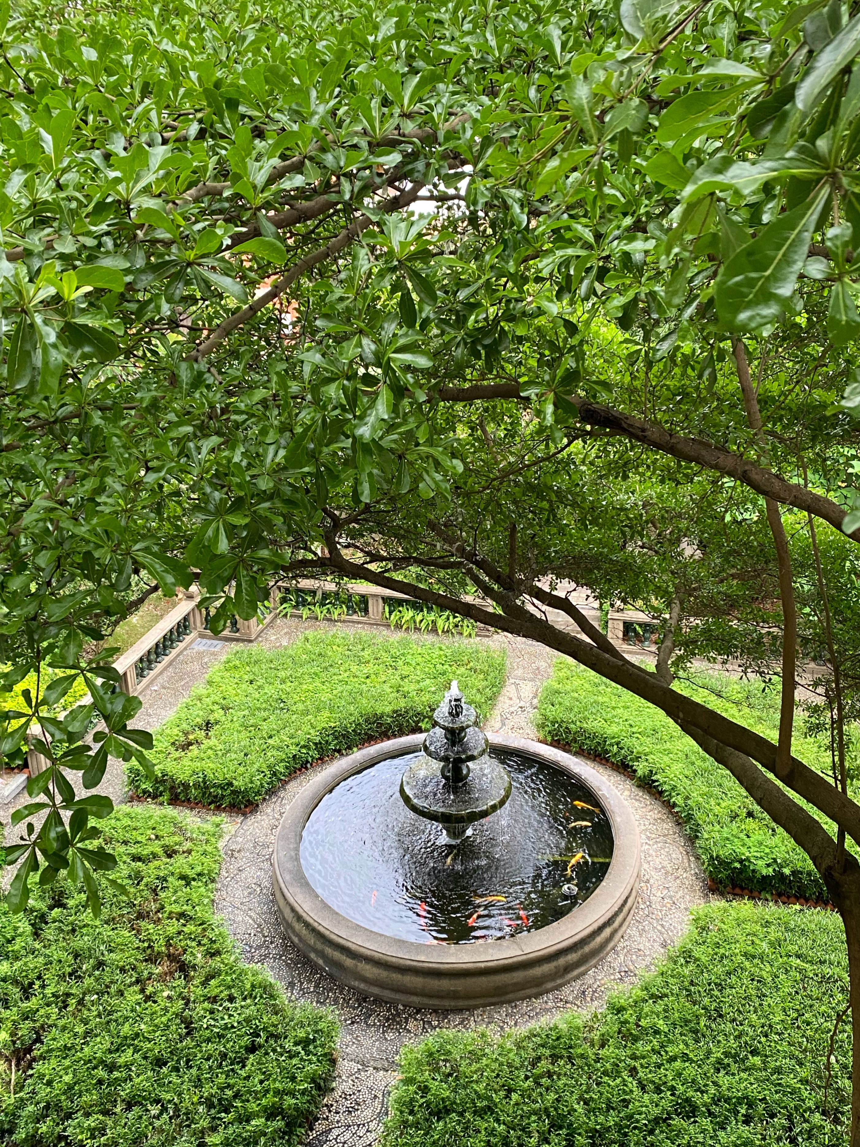 鼓浪屿民宿好不好做,住鼓浪屿民宿什么体验