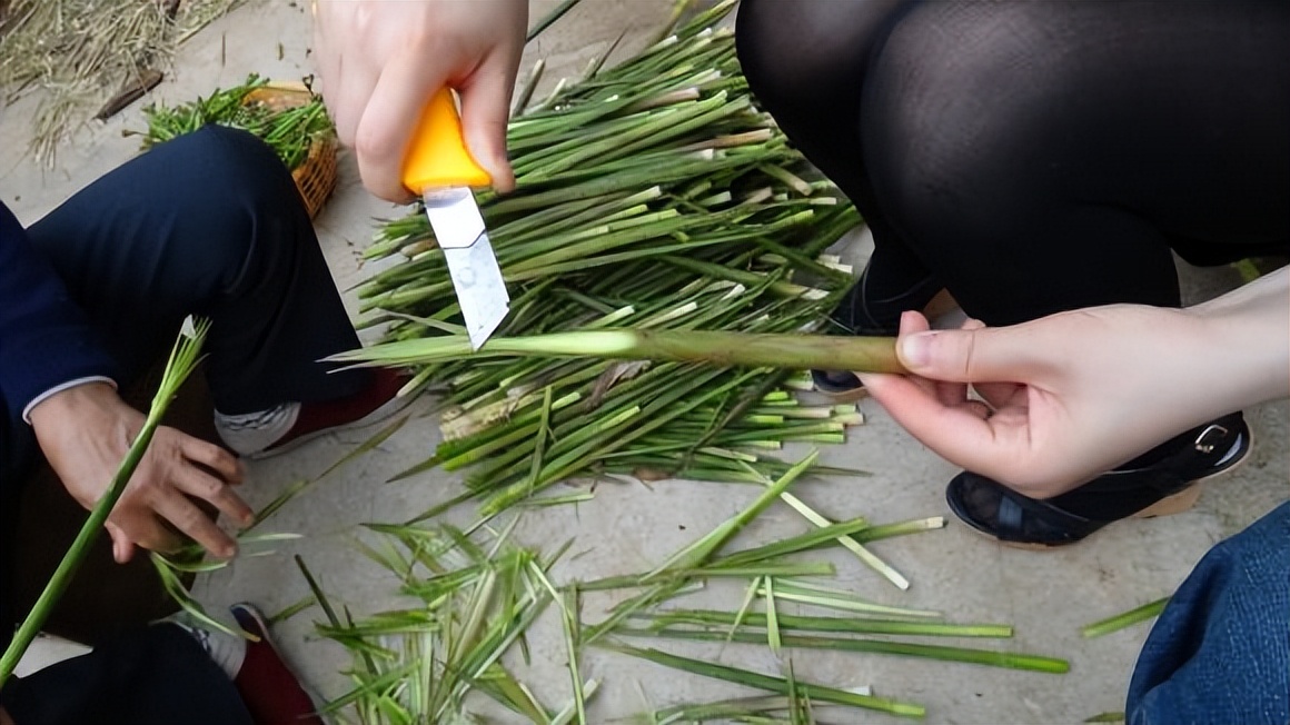 农村剥笋技术视频,每日农经挖笋技巧视频