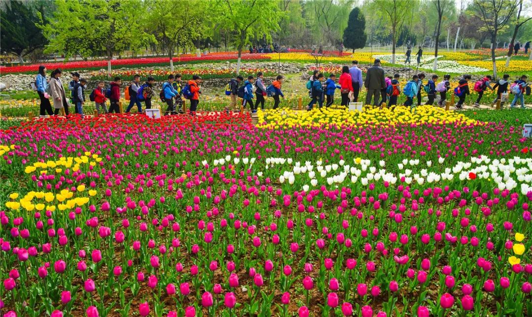 济南网上预约免费公园门票,济南免费预约景区门票官网