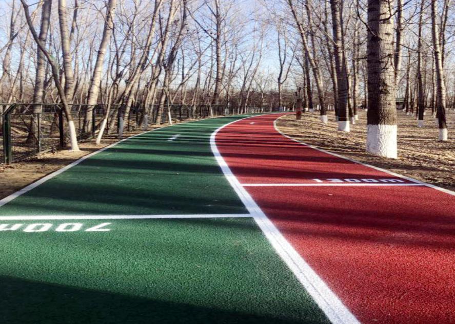 锐意进取开创全市体育工作新高度,顺义区的发展