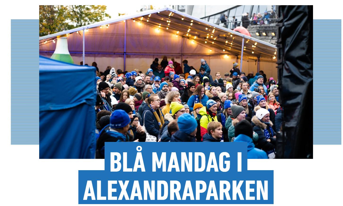 挪威超深度解析,深度测试德甲忠诚度