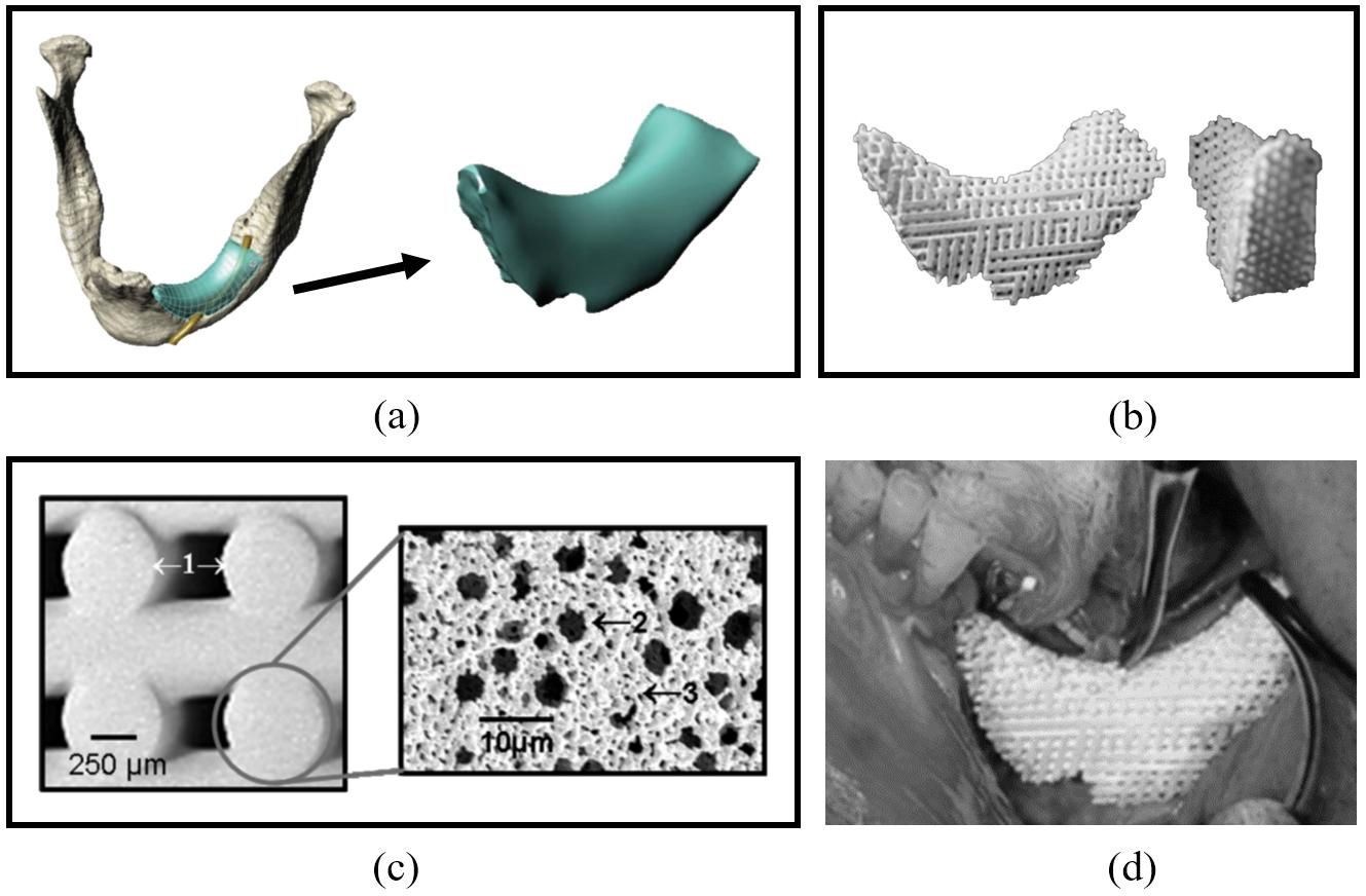一篇文章带你了解陶瓷3d打印,陶瓷3d打印技术的成型过程
