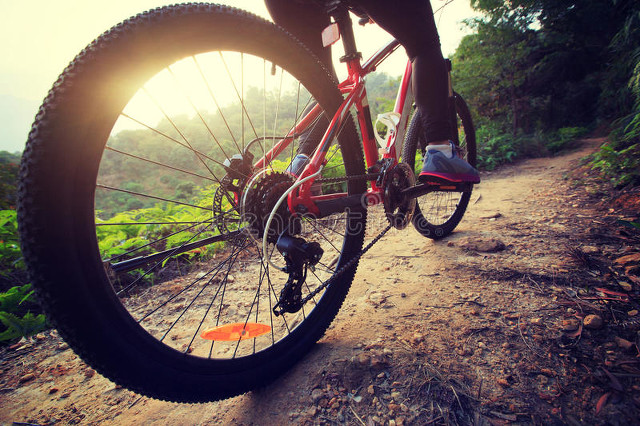 老婆做生意赔了1000多万,女友借钱做生意赔了